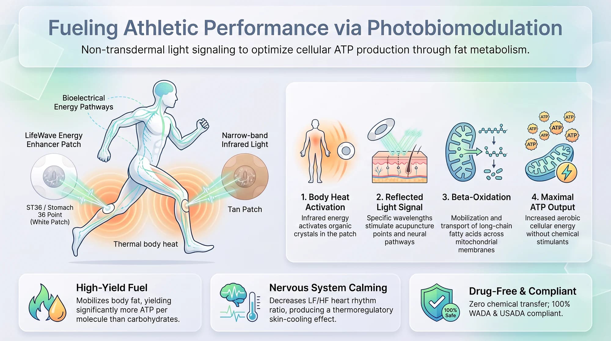 Infographic titled Fueling Athletic Performance via Photobiomodulation: a running figure with a white patch at the Stomach 36 point and a tan patch at the opposite knee, a four-step diagram from body-heat activation and reflected light to a fat-metabolism step and ATP output, and three summary cards on fuel, nervous system calming and drug-free compliance